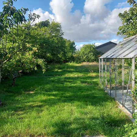 55torring * Tørring